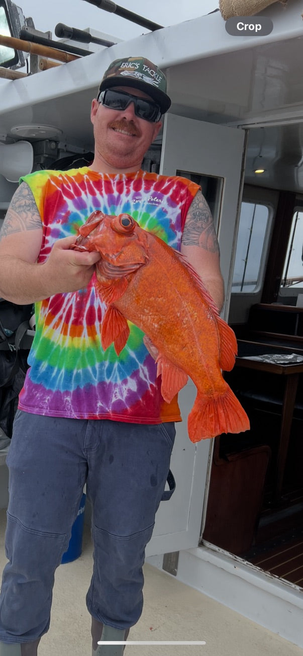 Catch photo
